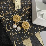 Dior Letter Size Baby's Breath Rice Bead Stud Earrings