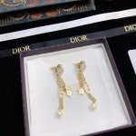 Dior earrings