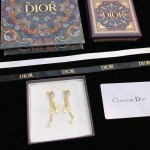 Dior earrings