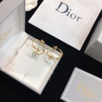 Dior earrings
