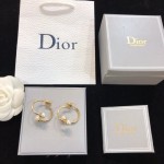 Dior earrings