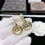 Dior Petit CD earrings
