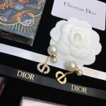 Dior earrings