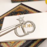 Dior Star CD Stud Earrings Silver