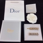 Dior CD brooch