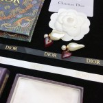 Dior stud earrings