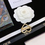 Dior brooch