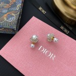 Dior stud earrings