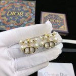 Dior stud earrings