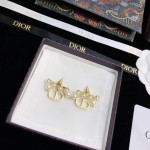 Dior stud earrings