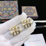 Dior stud earrings