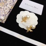 Dior stud earrings