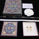 Dior stud earrings