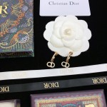 Dior stud earrings