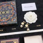 Dior stud earrings
