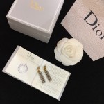 Dior earrings