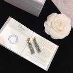 Dior earrings