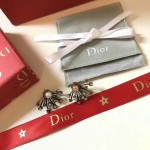 Dior earrings