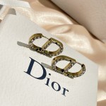 Dior earrings