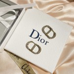 Dior earrings