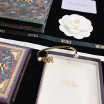 Dior bracelet