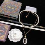 Dior necklace