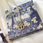 Dior necklace