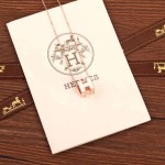 Hermes necklace