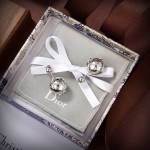 Dior earrings