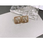 Dior earrings