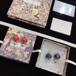 Dior earrings