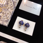 Dior earrings