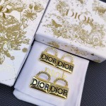 Dior earrings