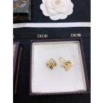 Dior earrings