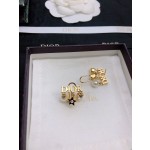 Dior earrings
