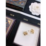 Dior earrings