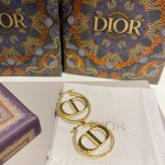 Dior earrings