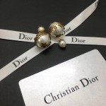 Dior earrings