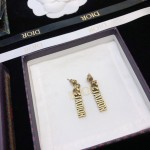 Dior earrings