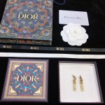 Dior earrings