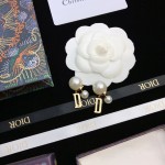 Dior earrings