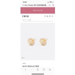 Dior earrings