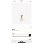 Fendi Earrings