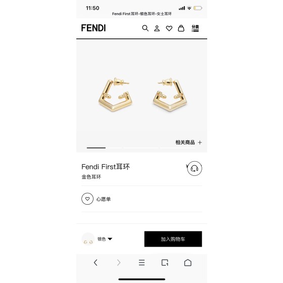 Fendi Earrings