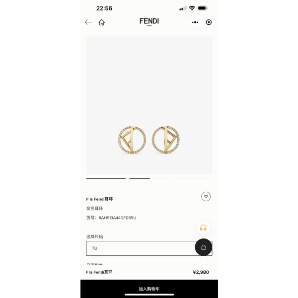 Fendi Earrings