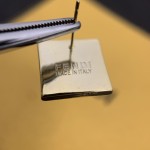 Fendi Earrings