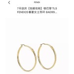 Fendi Earrings