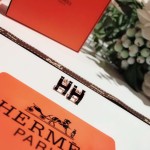 Hermes Earrings