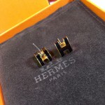 Hermes Earrings