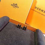 Hermes Earrings